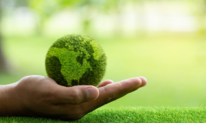 Growing need to heal the world as one family