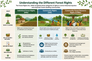 Understanding Forest Rights a Visual Guide