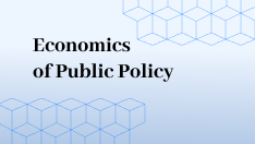 Economics Of Public Policy