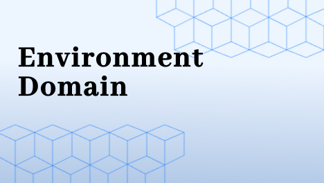 Environment Domain